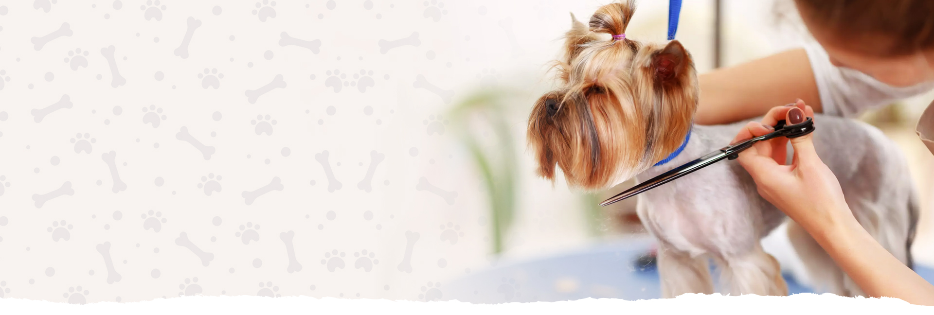 Tuzla Aquapet Kuaför