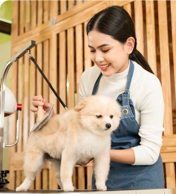 Tuzla Pet Kuaför Uzman Pet Kuaför İliana Kim